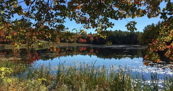 Bow, NH
