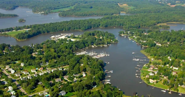 Mayo, MD